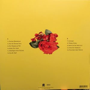 JAKUZİ - FANTEZİ MÜZİK (2017) - LP 2021 EDITION PEMBE RENKLİ SIFIR PLAK