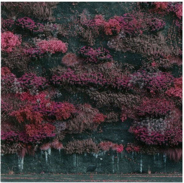 SLEEP TOKEN - EVEN IN ARCADIA (2025) - CD JEWEL CASE AMBALAJINDA SIFIR