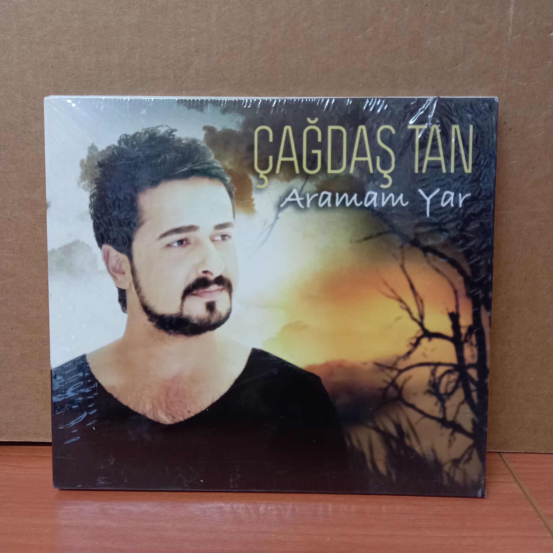 ÇAĞDAŞ TAN - ARAMAM YAR (2013) - CD SIFIR