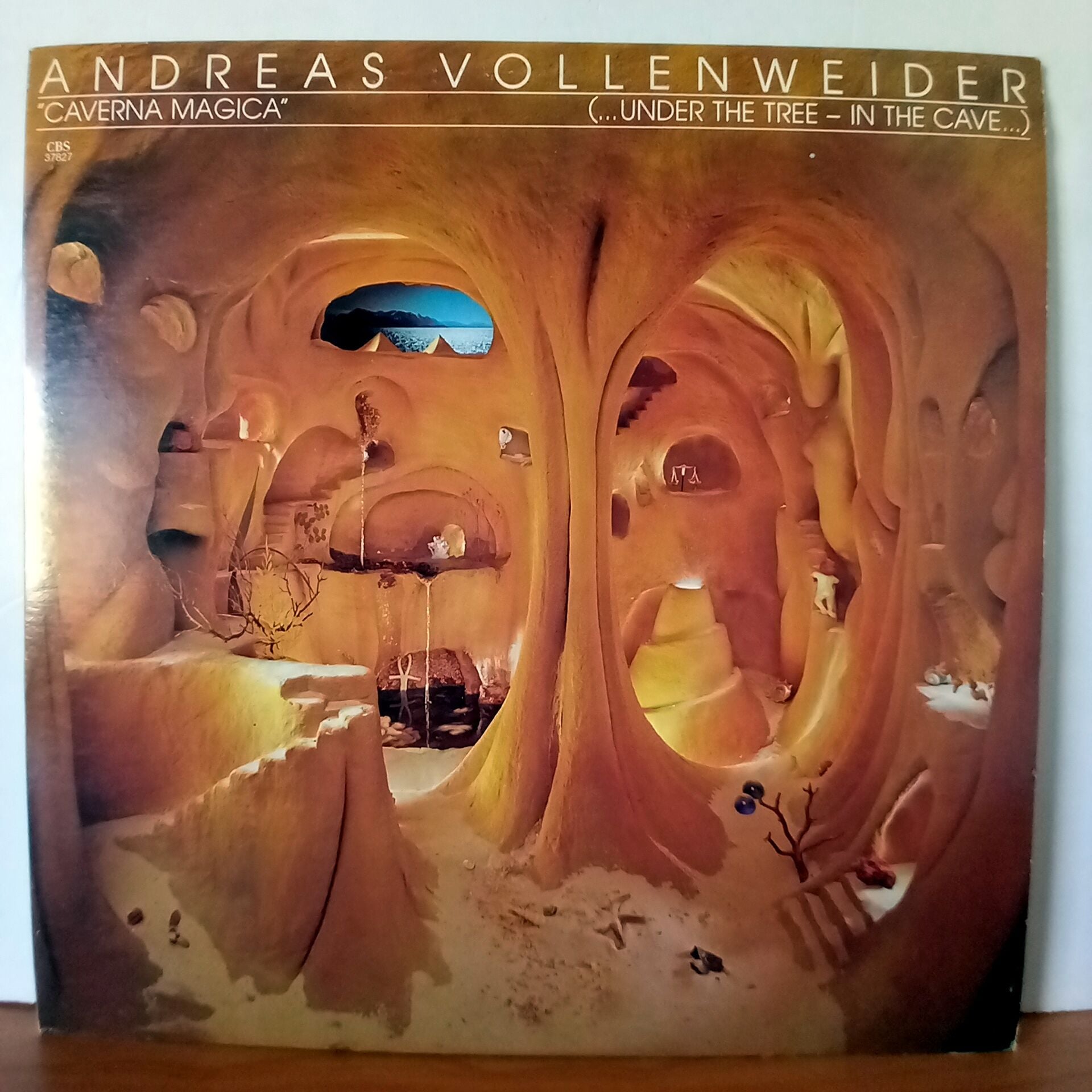 ANDREAS VOLLENWEIDER – CAVERNA MAGICA / ...UNDER THE TREE - IN THE CAVE... (1983) - LP 2.EL PLAK