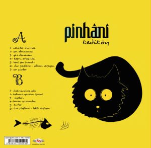 PİNHANİ - KEDİKÖY (2016) LP 2022 SIFIR PLAK