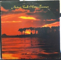 ANDY NARELL - HIDDEN TREASURE (1979) - PLAK 2.EL