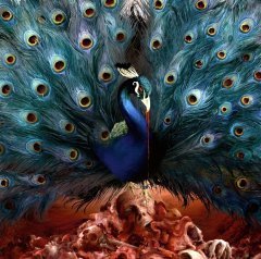 OPETH - SORCERESS (2016) - PLAK SIFIR