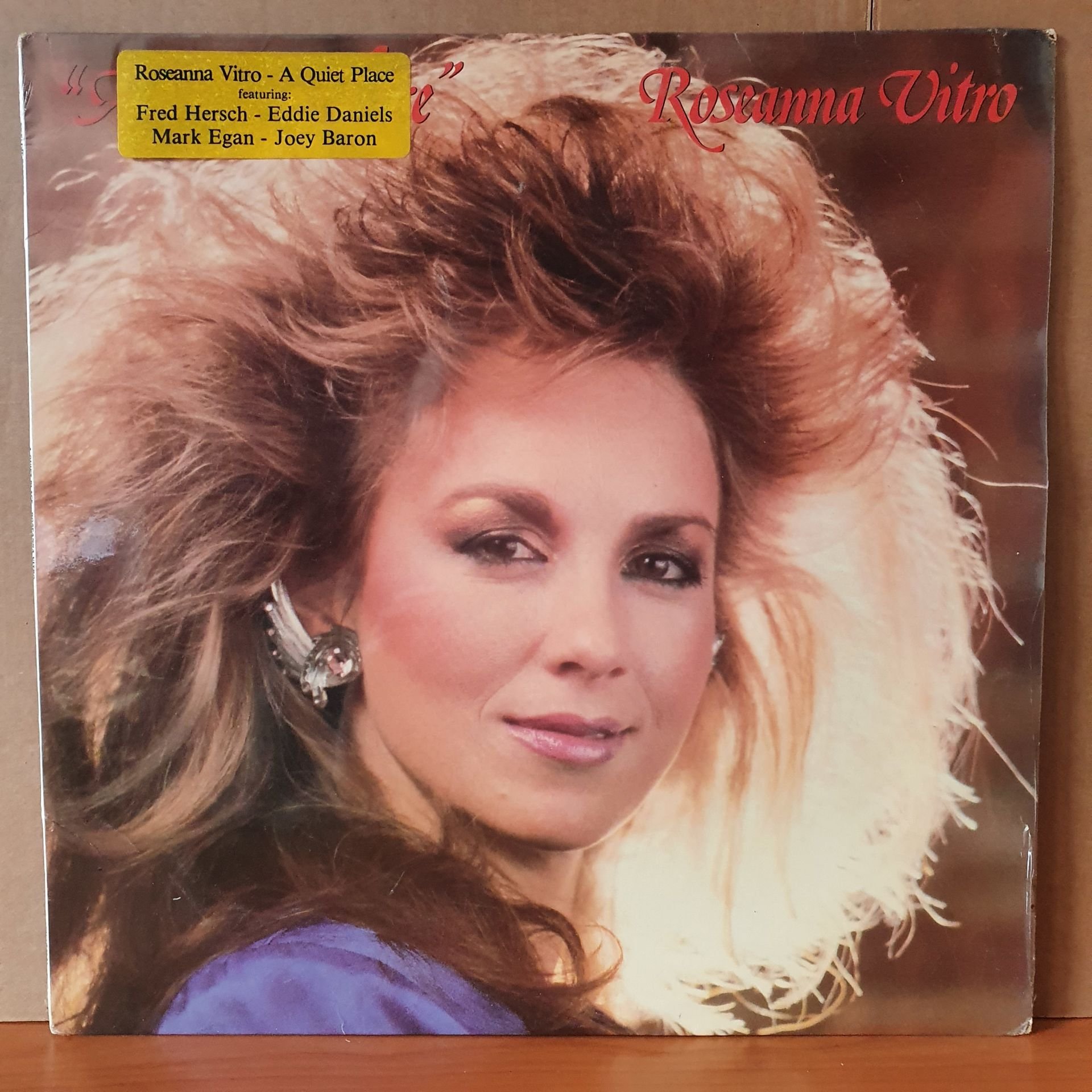 ROSEANNA VITRO - A QUIET PLACE (1987) - LP DÖNEM BASKISI SIFIR PLAK