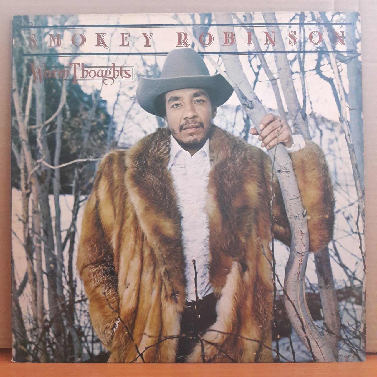 SMOKEY ROBINSON - WARM THOUGHTS (1980) - LP 2.EL PLAK
