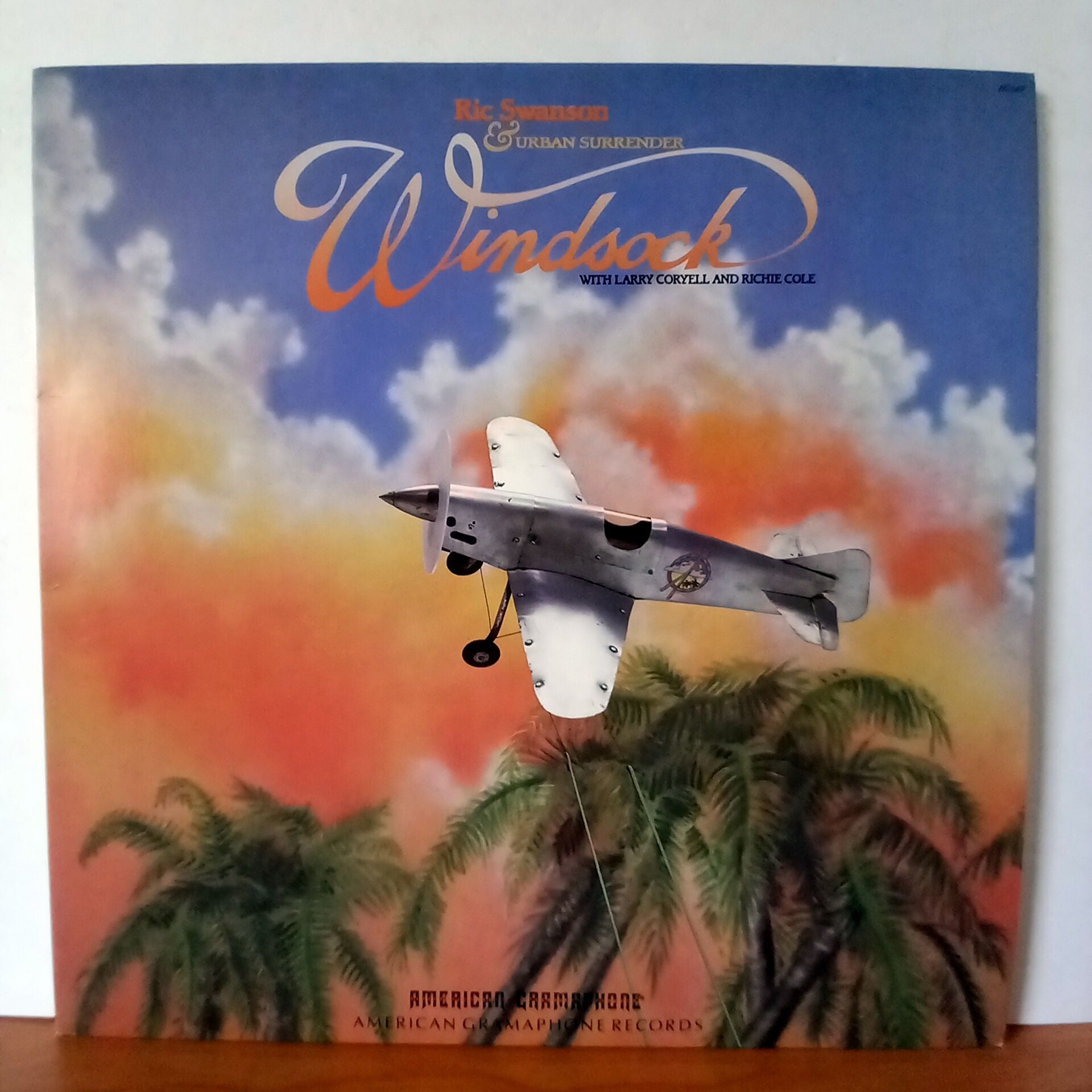 RIC SWANSON – WINDSOCK (1987) - LP 2.EL PLAK