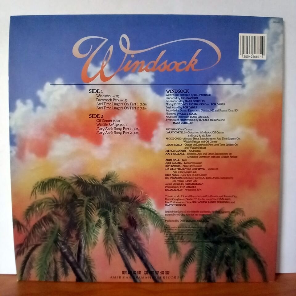 RIC SWANSON – WINDSOCK (1987) - LP 2.EL PLAK