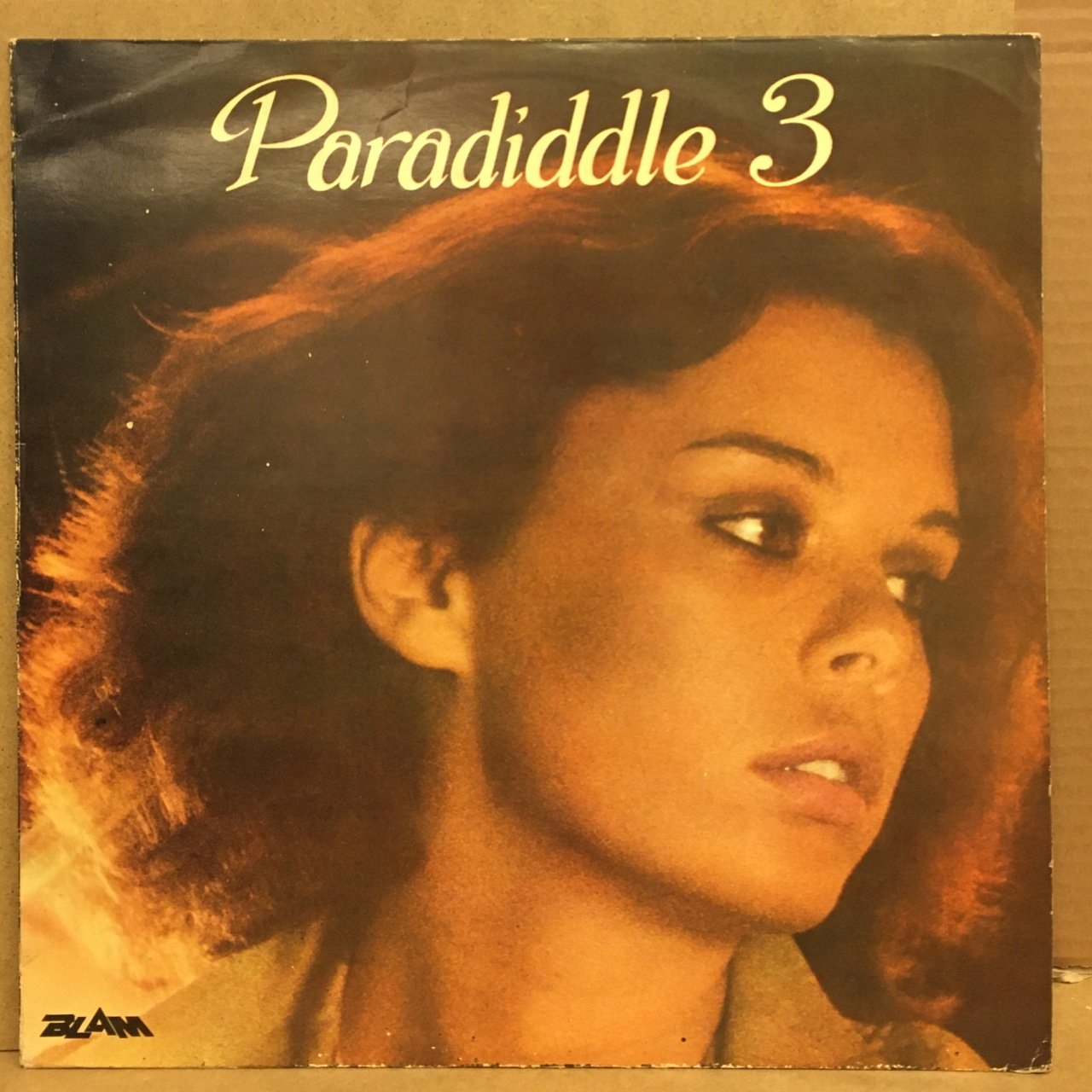 PARADIDDLE 3 2.EL PLAK 80LER KARIŞIK JOHNNY LOGAN CELI BEE PUPO SYLVIE VARTAN
