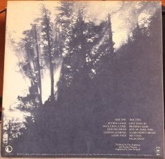 DAN FOGELBERG - NETHER LANDS (1977) - PLAK 2.EL