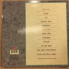 DAVID SANBORN - CLOSE UP (1987) - PLAK 2.EL