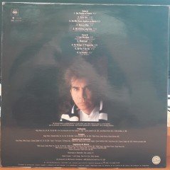 JOSE LUIS RODRIGUEZ - ESTA VEZ (1990) - LP 2.EL PLAK