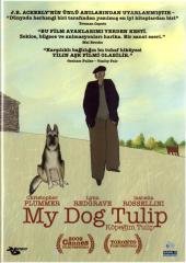 MY DOG TULIP - KÖPEĞİM TULIP - ANİMASYON - PAUL & SANDRA FIERLINGER - DVD 2.EL