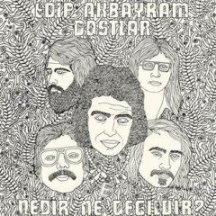 EDİP AKBAYRAM VE DOSTLAR - NEDİR NE DEĞİLDİR (1977) - CD 2014 PHARAWAY SOUNDS SIFIR