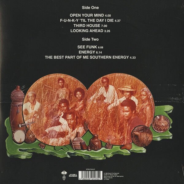 SOUTHERN ENERGY ENSEMBLE – SOUTHERN ENERGY (1993) - LP 2021 REMASTERED REISSUE SIFIR PLAK