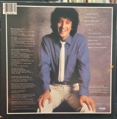 JEFF LORBER - IT'S A FACT (1982) - 2.EL PLAK