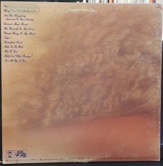 WILD CHERRY - ELECTRIFIED FUNK (1977) - 2.EL PLAK