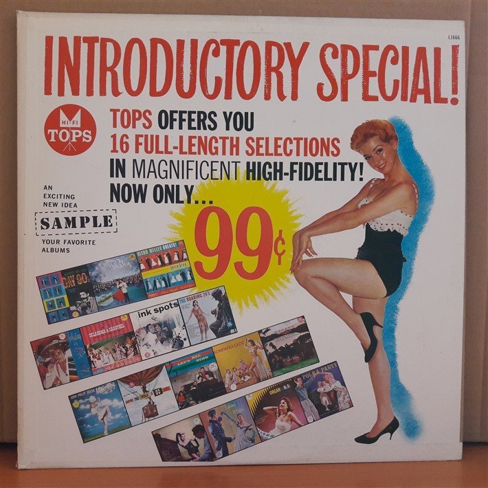 INTRODUCTORY SPECIAL! - LP 2.EL PLAK