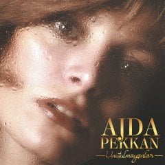 AJDA PEKKAN - UNUTULMAYANLAR (1989) - LP COMPILATION 180GR 2021 BASIM SIFIR PLAK
