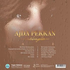 AJDA PEKKAN - UNUTULMAYANLAR (1989) - LP COMPILATION 180GR 2021 BASIM SIFIR PLAK