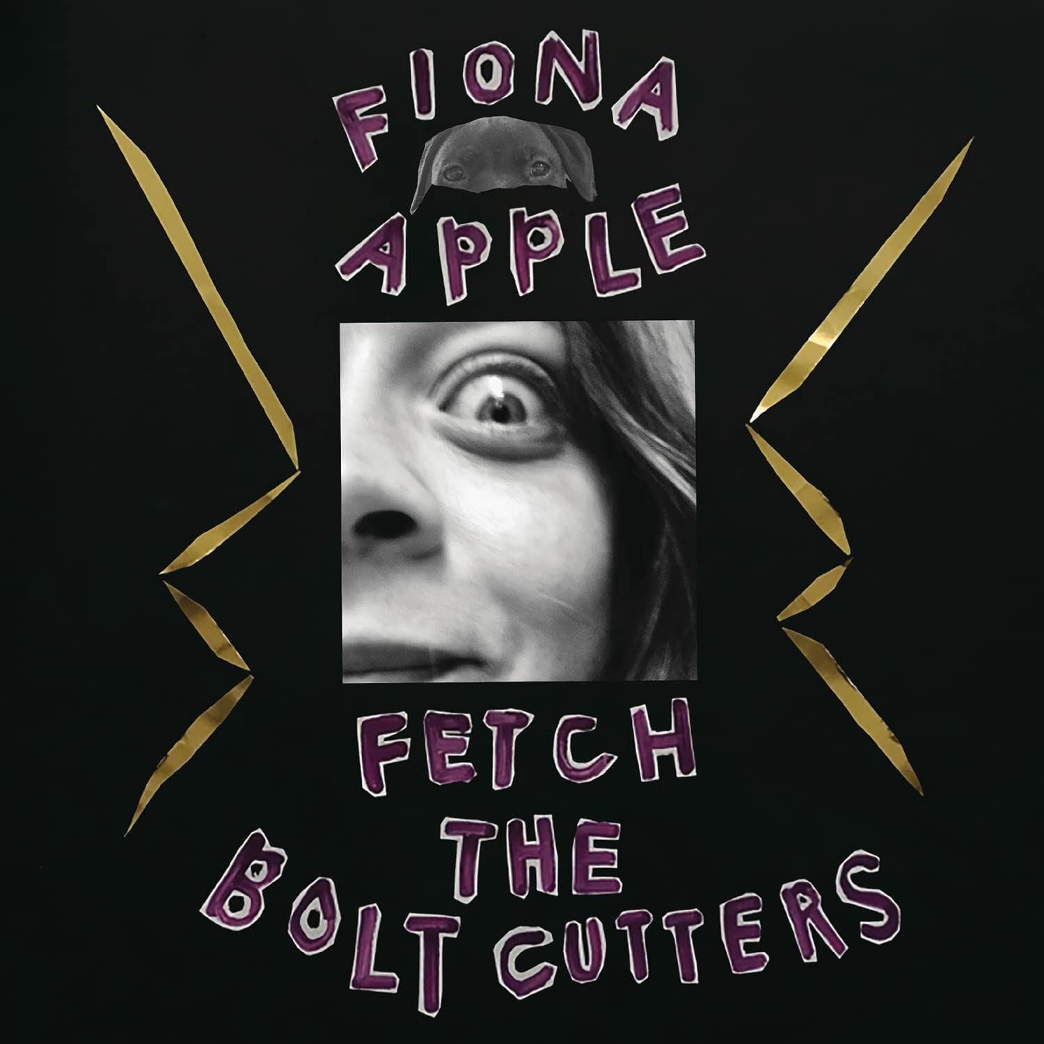 FIONA APPLE - FETCH THE BOLT CUTTERS (2020) - CD SIFIR