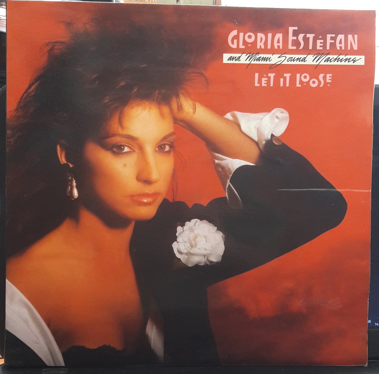 GLORIA ESTEFAN AND MIAMI SOUND MACHINE - LET IT LOOSE (1987) - PLAK 2.EL