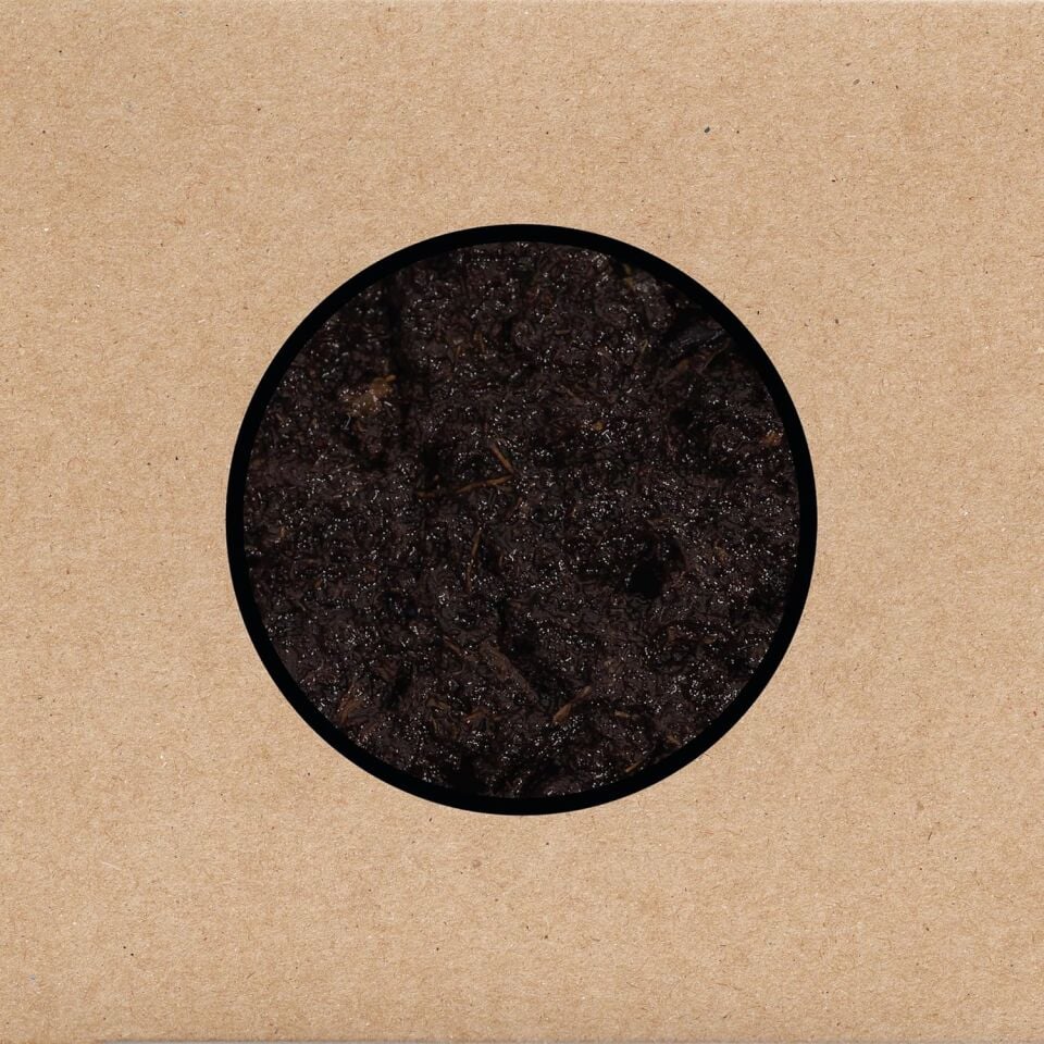 SWANS - BIRTHING (2025) - 3LP + 1 DVD + POSTER SIFIR PLAK