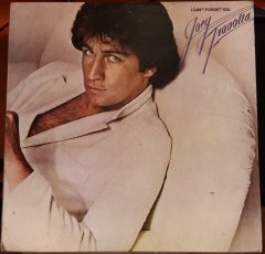 JOEY TRAVOLTA - I CAN'T FORGET YOU (1979)  - PLAK 2.EL YERLİ BASKI