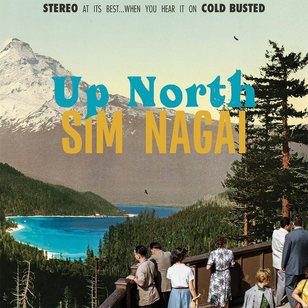 SIM NAGAI - UP NORTH (2025) - LP JAZZY ENSTRUMENTAL NEO SOUL , LOUNGE SIFIR PLAK