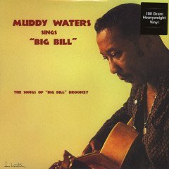 MUDDY WATERS - SINGS BIG BILL (1960) - LP 180GR 2015 EDITION SIFIR