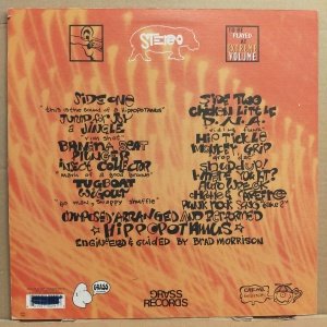 HIPPOPOTAMUS - HIPPOPOTAMUS (1996) - LP 2.EL