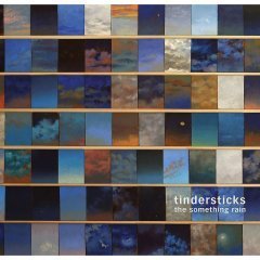 TINDERSTICKS - THE SOMETHING RAIN (2012) - SIFIR PLAK