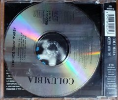 TERENCE TRENT D'ARBY - VIBRATOR (1995) - CD SINGLE 2.EL