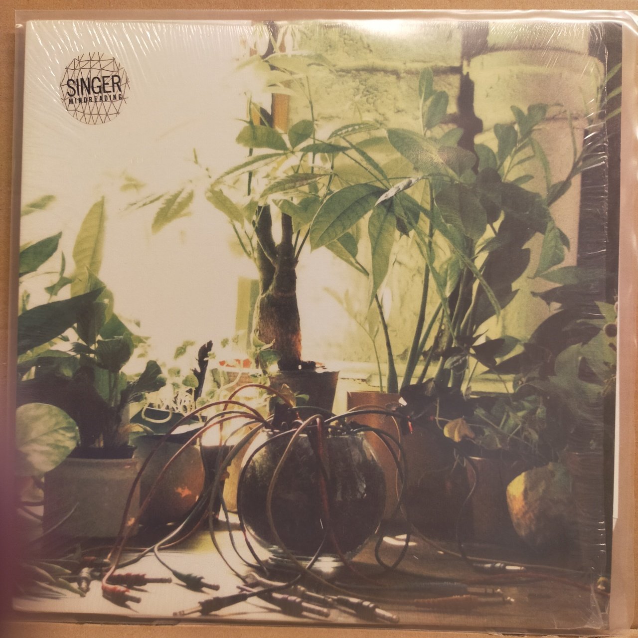 SINGER - MINDREADING (2011) - LP ART ROCK 2.EL
