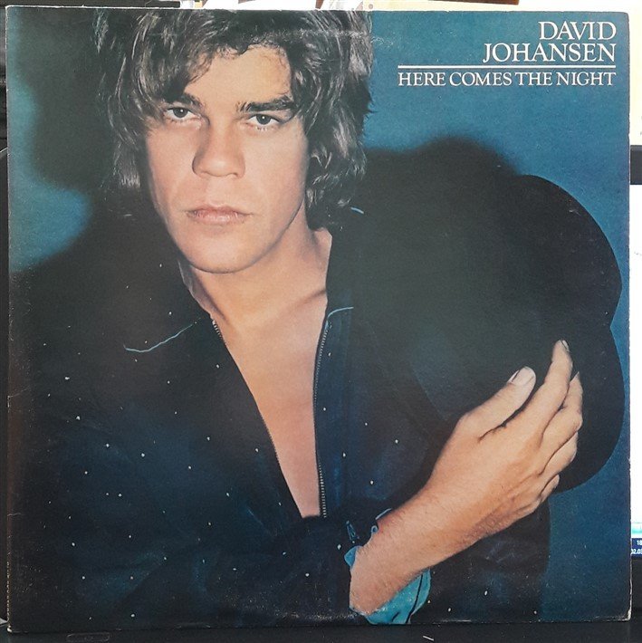 DAVID JOHANSEN - HERE COMES THE NIGHT (1981) - PLAK 2.EL