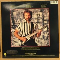 DARYL STUERMER - STEPPIN OUT GRP 1988 2.EL PLAK