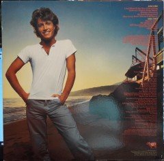 ANDY GIBBS - GREATEST HITS (1980) - 2.EL PLAK