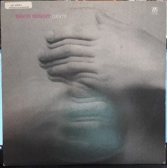 DAVID BENOIT - DIGITS (1983) - 2.EL PLAK