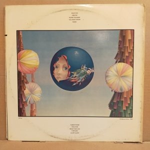 THE RASCALS - SEARCH AND NEARNESS (1971) - LP CUT OUT 2.EL PLAK