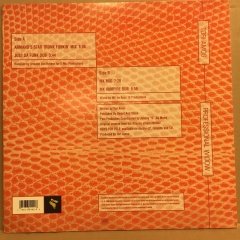 TORI AMOS - PROFESSIONAL WIDOW (1996) 12'' MAXISINGLE 2.EL PLAK