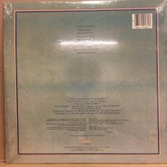 ARETHA FRANKLIN - ARETHA (1980) - 2.EL PLAK