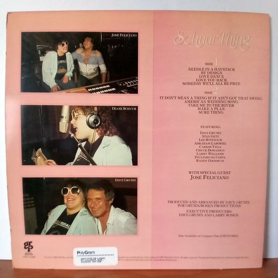 DIANE SCHUUR – SCHUUR THING (1985) - LP 2.EL PLAK