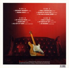 WALTER TROUT - ORDINARY MADNESS (2020) - 2LP PLAK SIFIR