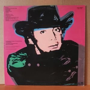 PAUL ANKA - THE PAINTER (1976) - LP 2.EL PLAK