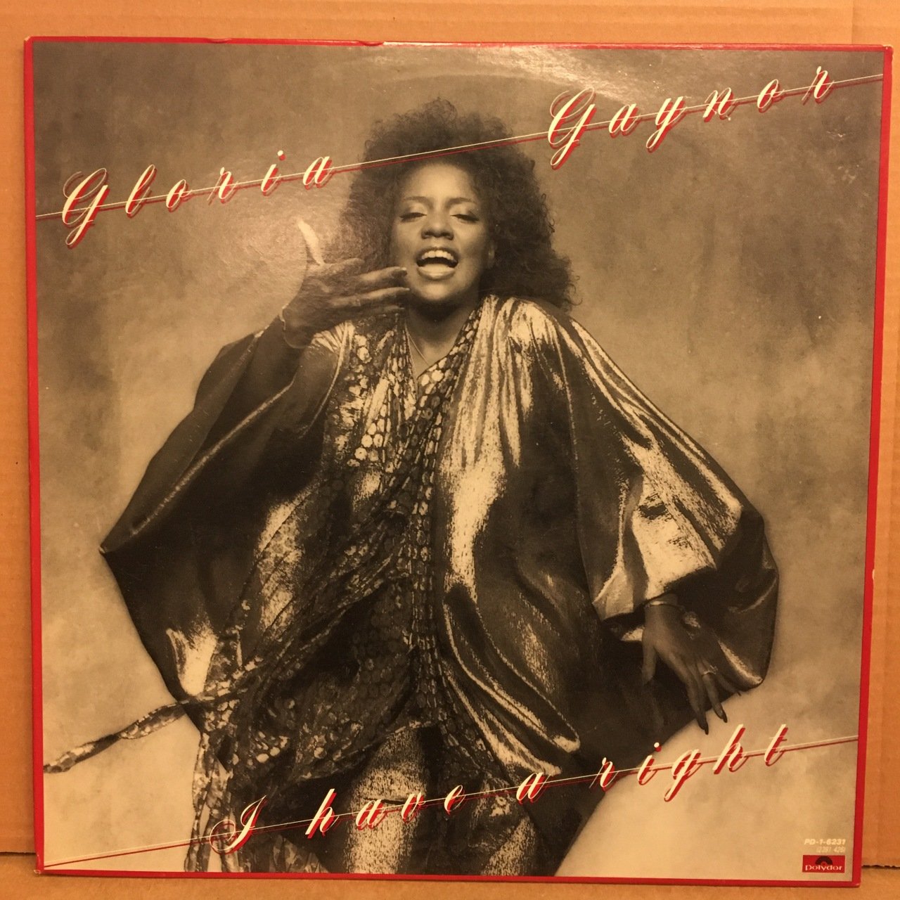 GLORIA GAYNOR - I HAVE A RIGHT 1979 2.EL PLAK