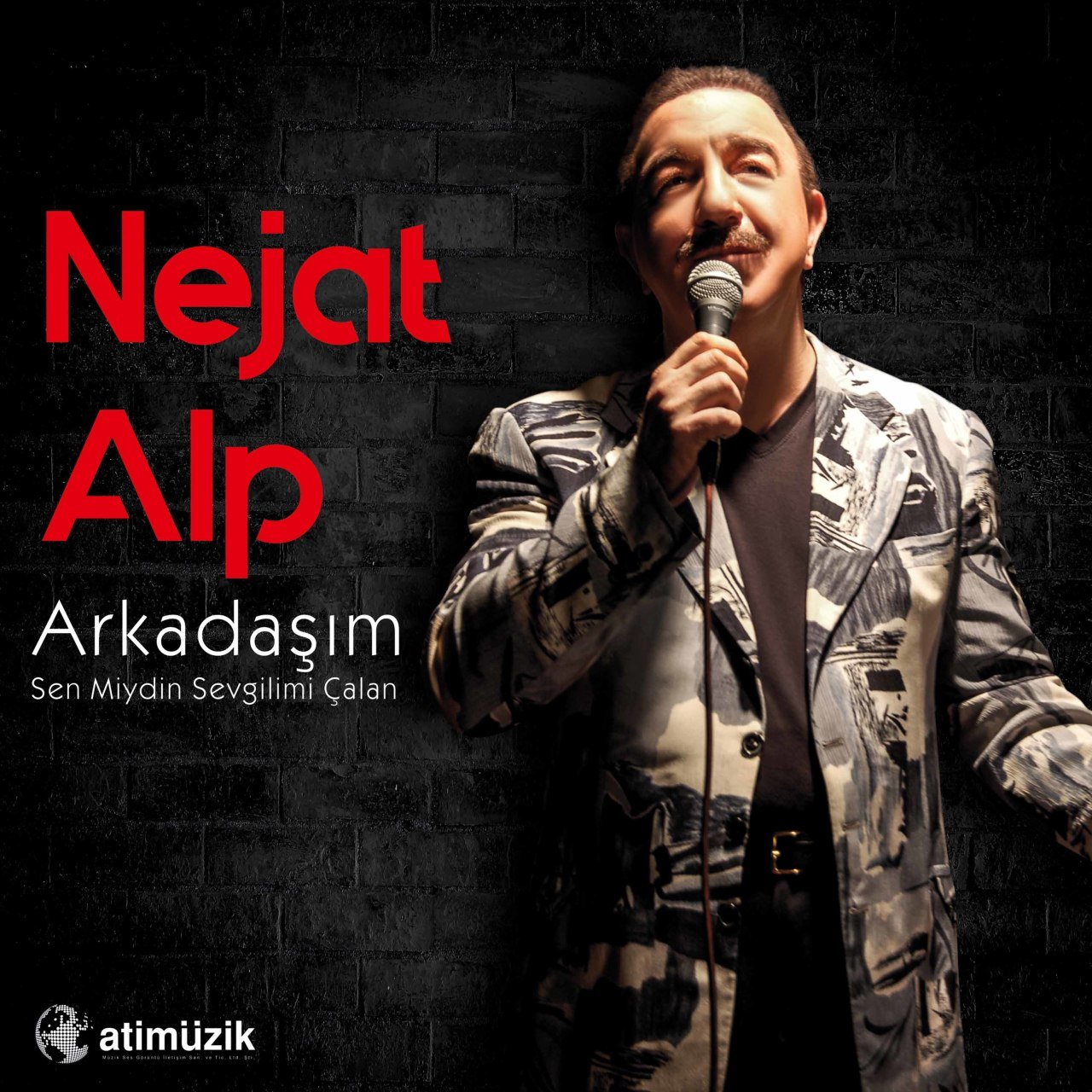 NEJAT ALP – ARKADAŞIM / SEN MİYDİN SEVGİLİMİ ÇALAN - LP SIFIR
