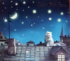SAKİN BİR GECE / ROMANTİK AKŞAMLARA ÖZEL 20 ENSTRÜMANTAL ŞARKI / PİYANO EŞLİĞİNDE (2012) ARTİST CD 2.EL