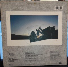THOMAS DOLBY - THE FLAT EARTH (1984) - 2.EL PLAK