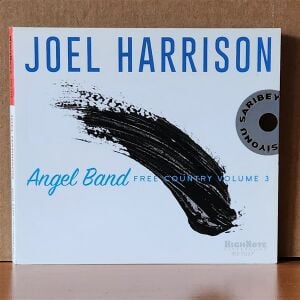 JOEL HARRISON – ANGEL BAND (2018) - CD 2.EL