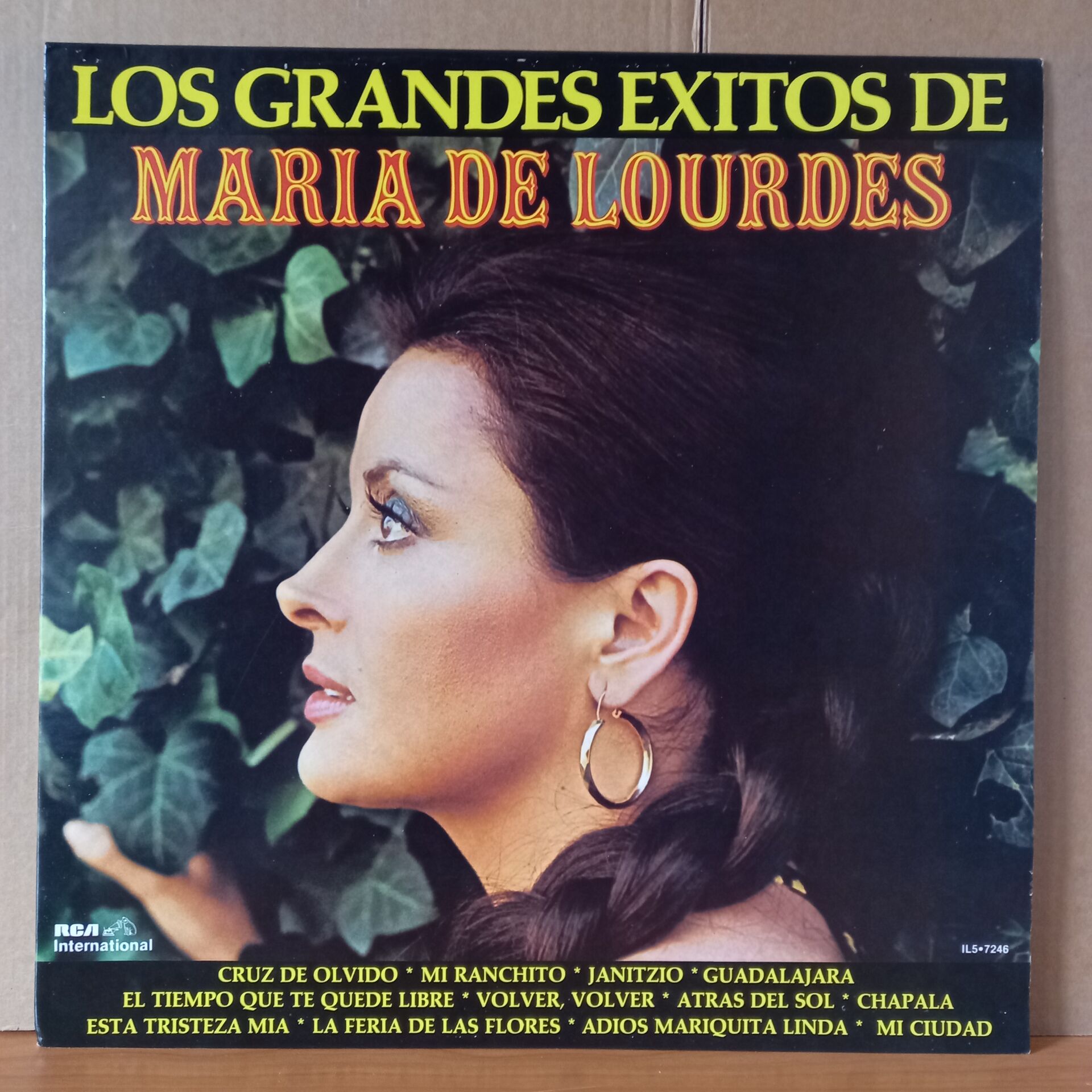 LOS GRANDES EXITOS DE MARIA DE LOURDES (1983) - LP 2.EL PLAK