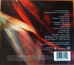 PATTI SMITH - TWELVE (2007) CD 2.EL